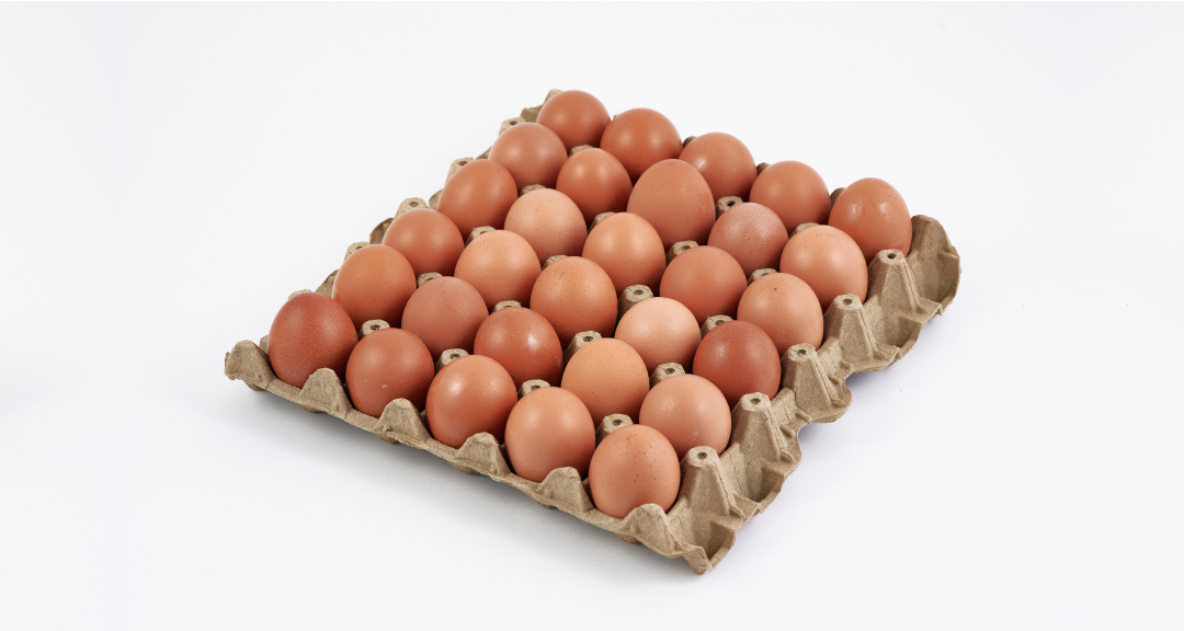 Huevos Tipo AA